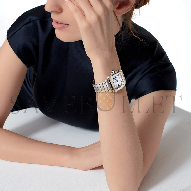 CARTIER SANTOS DE CARTIER 42MM WATCH W2SA0016